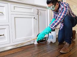 Best Pest Control for Multi-Family Homes  in Brent, FL